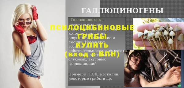 ГАЛЛЮЦИНОГЕННЫЕ ГРИБЫ Нея
